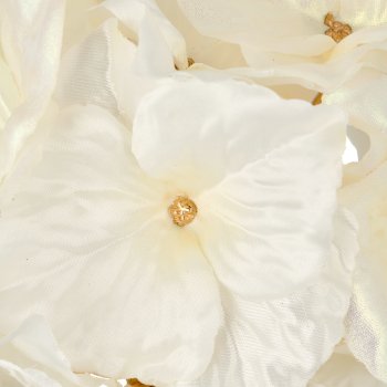 Hortensie, 63cm, weiß