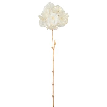 Hortensie, 63cm, weiß