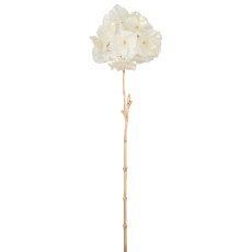 Hortensie, 63cm, weiß