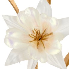 Columbine, 74cm, white
