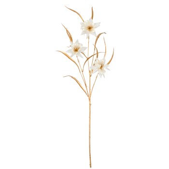 Columbine, 74cm, white