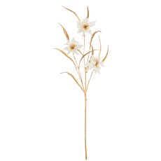 Columbine, 74cm, white