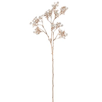 Gypsophila, 69cm, white