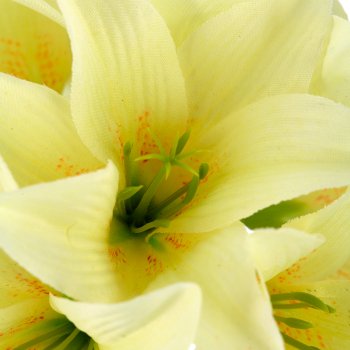 Lily x3, 78cm, light yellow