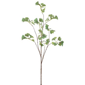 Gingkozweig, 126cm, grün