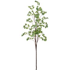 Gingkozweig, 191cm, grün
