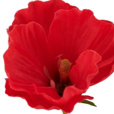 Mallow, 64cm, coral