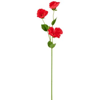Mallow, 64cm, coral