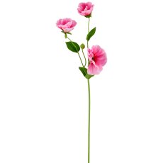 Malve, 64cm, rosa