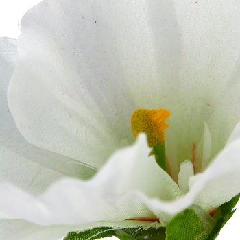 Mallow, 64cm, white