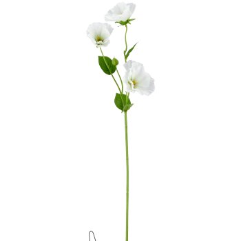 Mallow, 64cm, white