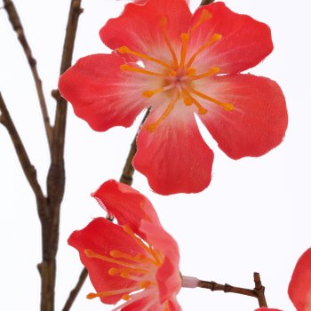 Cherry blossom branch, 84cm, coral