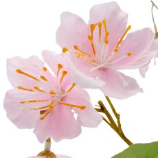 Cherry blossom branch, 126cm, pale pink