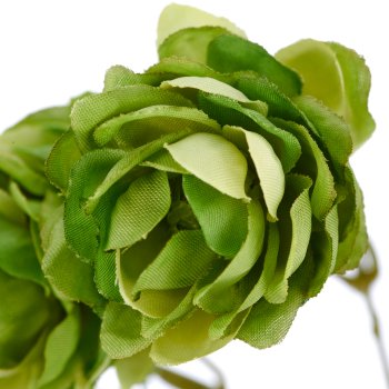 Hopfen, 73cm, grün