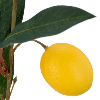 Zitronenzweig, 64cm, gelb