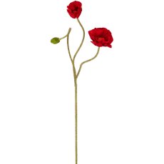 Mohn x3, 80cm, rot