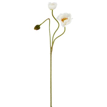 Poppy seeds x3, 80cm, white