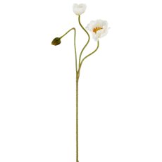 Mohn x3, 80cm, weiß