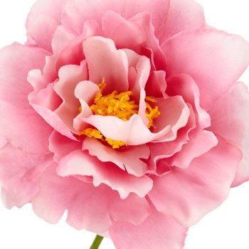 Rose x3, 92cm, rosa