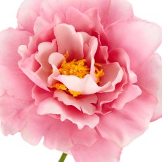 Rose x3, 92cm, rosa