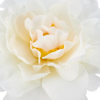 Rose x3, 92cm, white
