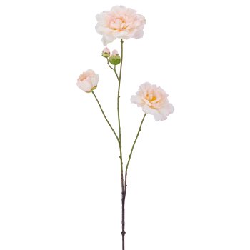 Rose x3, 92cm, apricot
