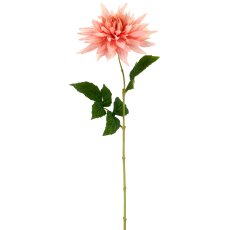 Dahlie x1, 60cm, rosa