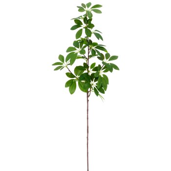 Schefferazweig, 73cm, green