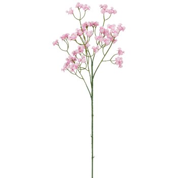 Schleierkraut, 66cm, rosa