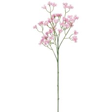 Schleierkraut, 66cm, rosa