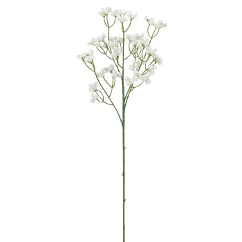 Schleierkraut, 66cm, weiß