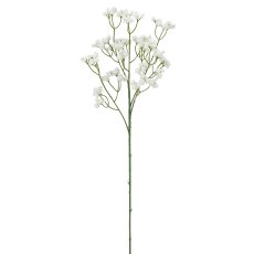Schleierkraut, 66cm, weiß