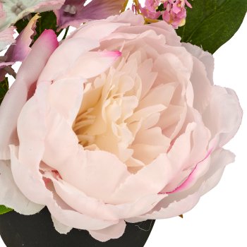 Peony arrangement, 16cm, rosa, in black plastic pot 8x8x7cm