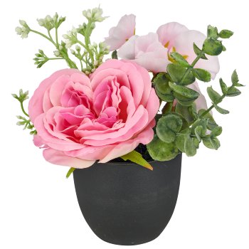 Rose arrangement, 16cm, rosa, in black plastic pot 8x8x7cm