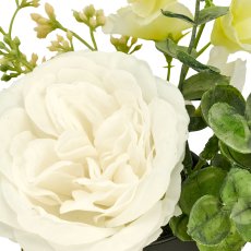 Rose arrangement, 16cm, weiß, in black plastic pot 8x8x7cm