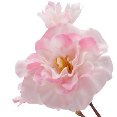 Kirschblütenzweig, 80cm, rosa