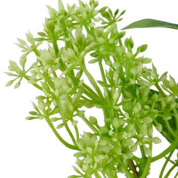 Laurustine, 71cm, green