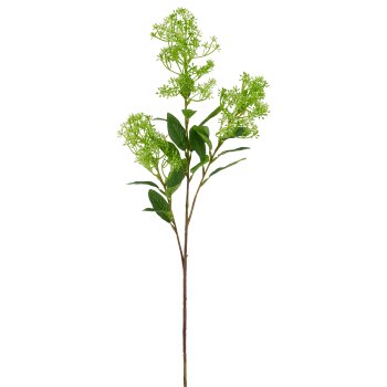 Laurustine, 71cm, green