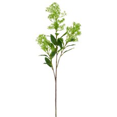 Laurustine, 71cm, green