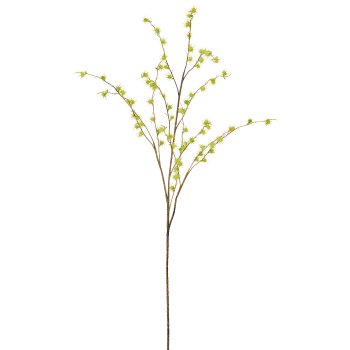 Echinaria, 1/Poly, 118cm, green