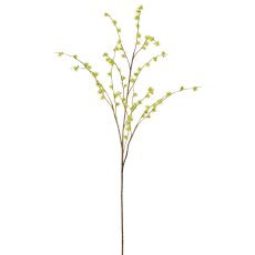 Echinaria, 1/Poly, 118cm, green