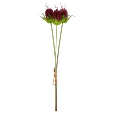 Thistle bunch x3, 58cm, aubergine