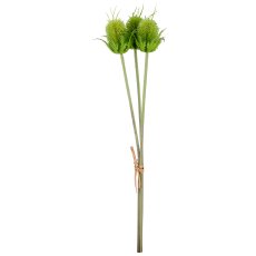 Thistle bunch x3, 58cm, green