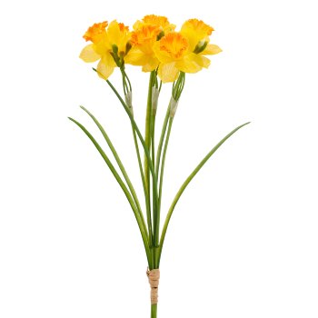 Narzissenbund x3, 41cm, gelb