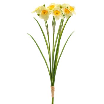 Tazettenbund x3, 41cm, hellgelb