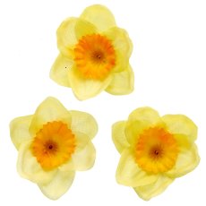 Tazette litter 24/poly, light yellow