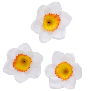 Tazette litter 24/poly, white