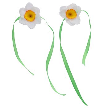 Tazettenblüte mit Band 24/Poly, weiß