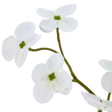 Cornuszweig, 73cm, weiß, Real Touch