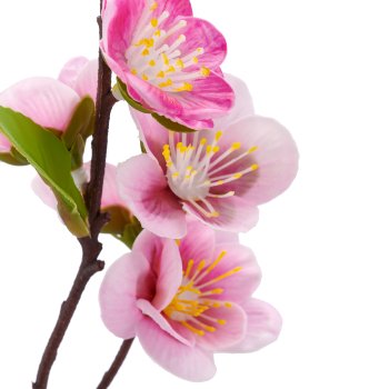Kirschblütenzweig, 69cm, rosa, Real Touch